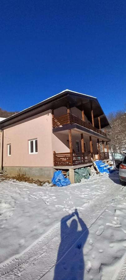 Vila Nika Crni Vrh Exterior foto
